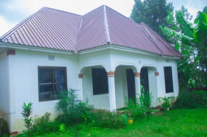 New Dream House